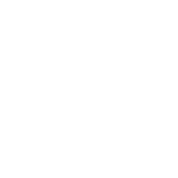 roof (2)